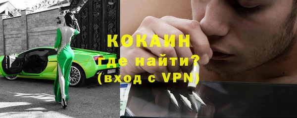 крисы Бородино