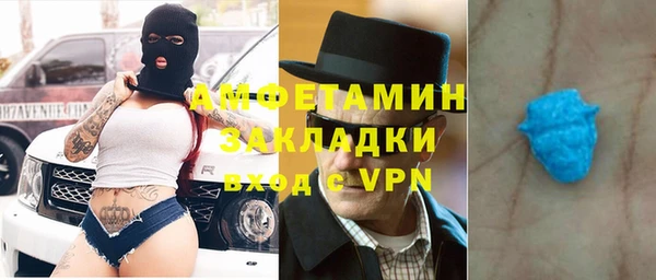 крисы Бородино