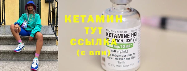 крисы Бородино