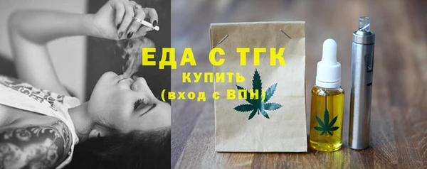 крисы Бородино
