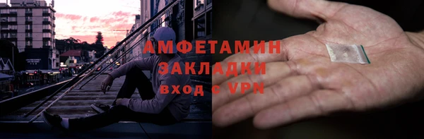 крисы Бородино