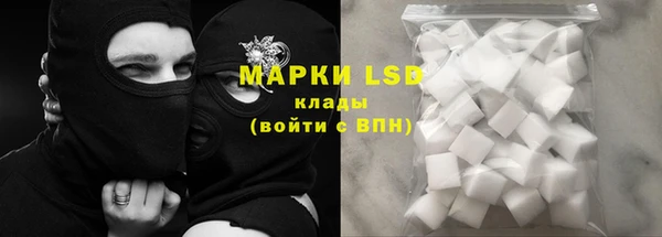 крисы Бородино