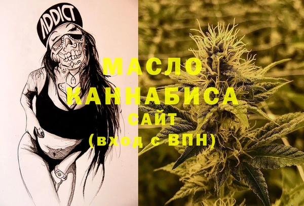 крисы Бородино