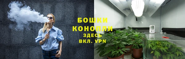 крисы Бородино
